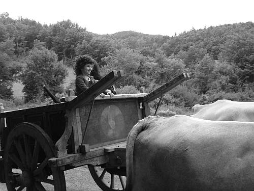 In Viaggio sul barroccio di Pollenza del 1946 di Giuseppe Ronci