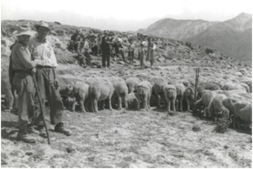 arrivo a Cardito, 1950