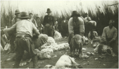 Tempo di "carosa", 1935