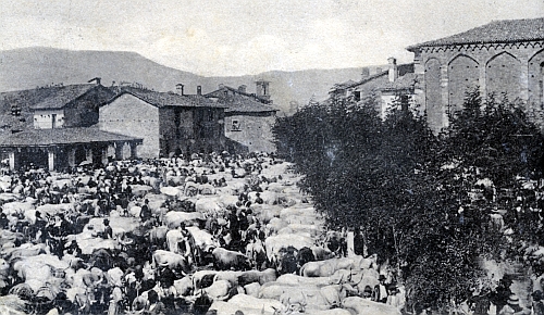 La fiera dei buoi ad Amatrice