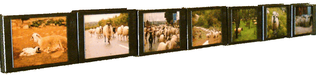 Dragos Lumpan art-exhibition in Amatrice