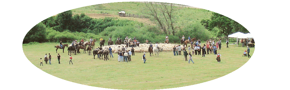 Schafherden Karussel in Cardito