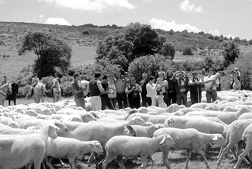 arrivo a Cardito, 3 luglio 2011